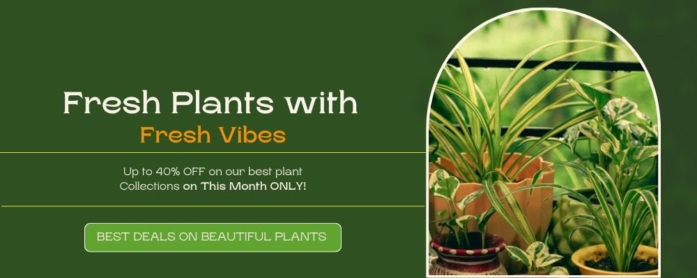 Discount up to 40% off (7)