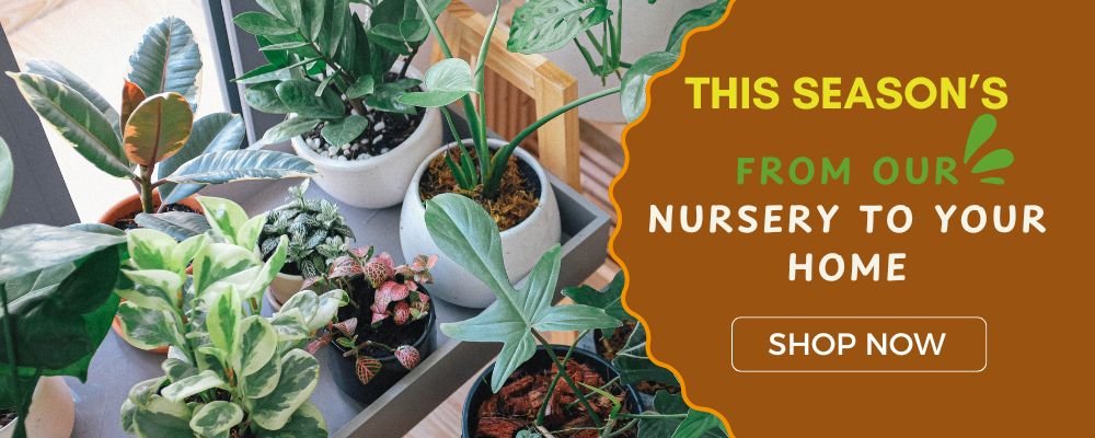 Discount up to 40% off (8)