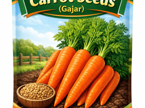 Carrot Seeds