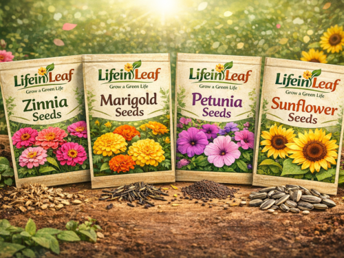 Sets Of Flowering Seeds