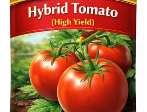 Hybrid Tomato Seeds