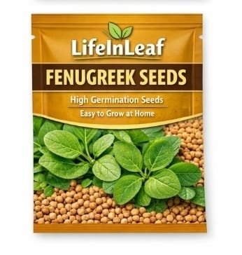 Fenugreek Seeds
