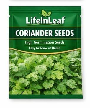 Coriander Seeds