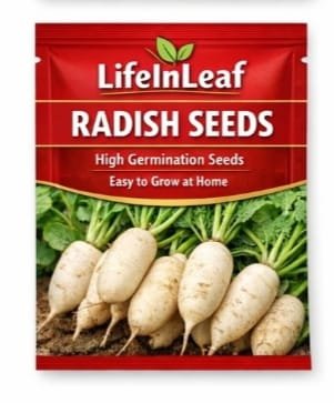 Radish Seeds