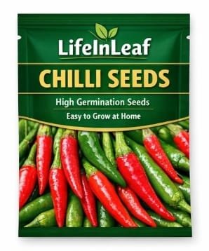 Chilli Seeds