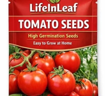 Tomato Seeds