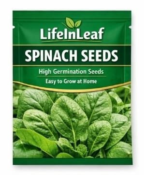 Spinach Seeds