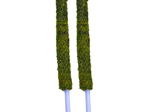 Moss Stick 1x(Plant Support Sticks – Various Sizes)