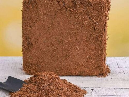 Cocopeat Block 5 kgs